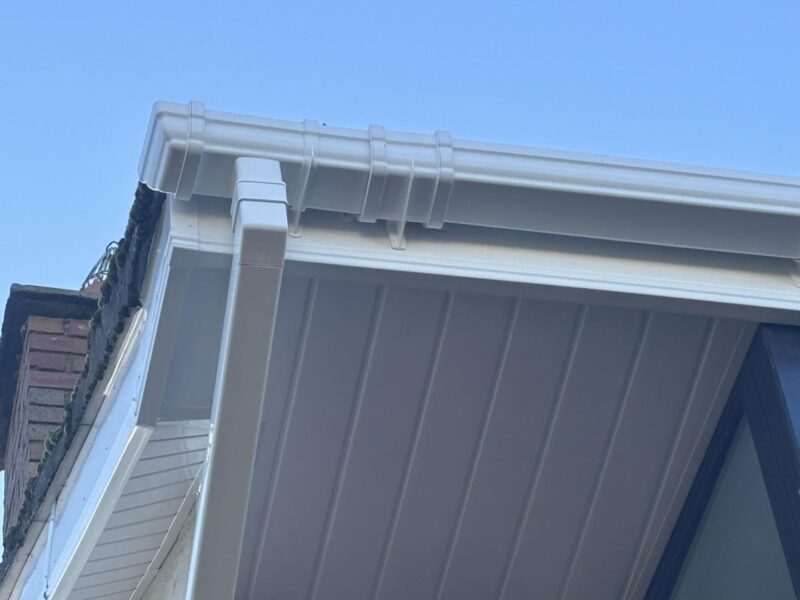 Gutter Cleaning